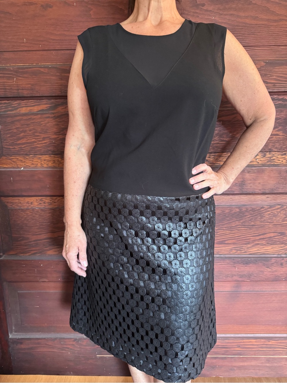 Banana Republic Black MeshA-Line Eyelet dress